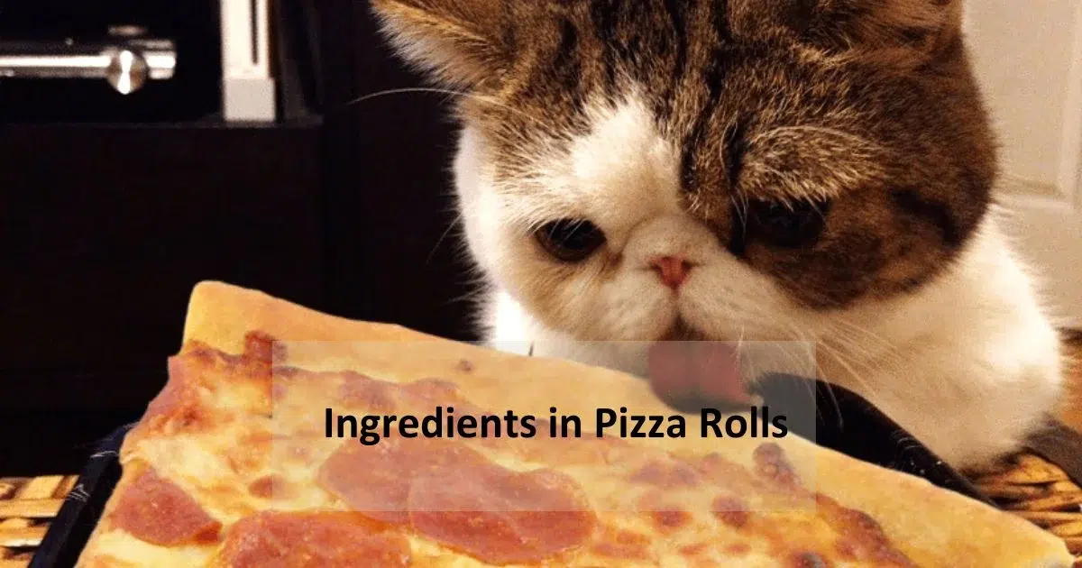Ingredients in Pizza Rolls