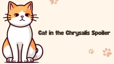 Cat-in-the-Chrysalis