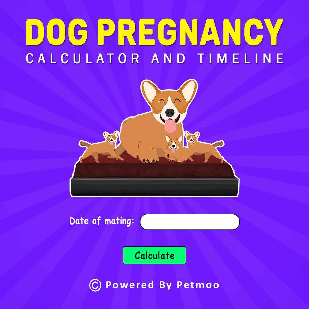 Dog Pregnancy Calendar