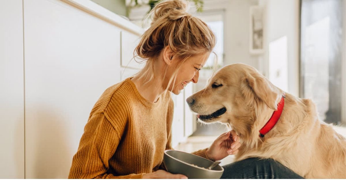 can dogs eat yogurt