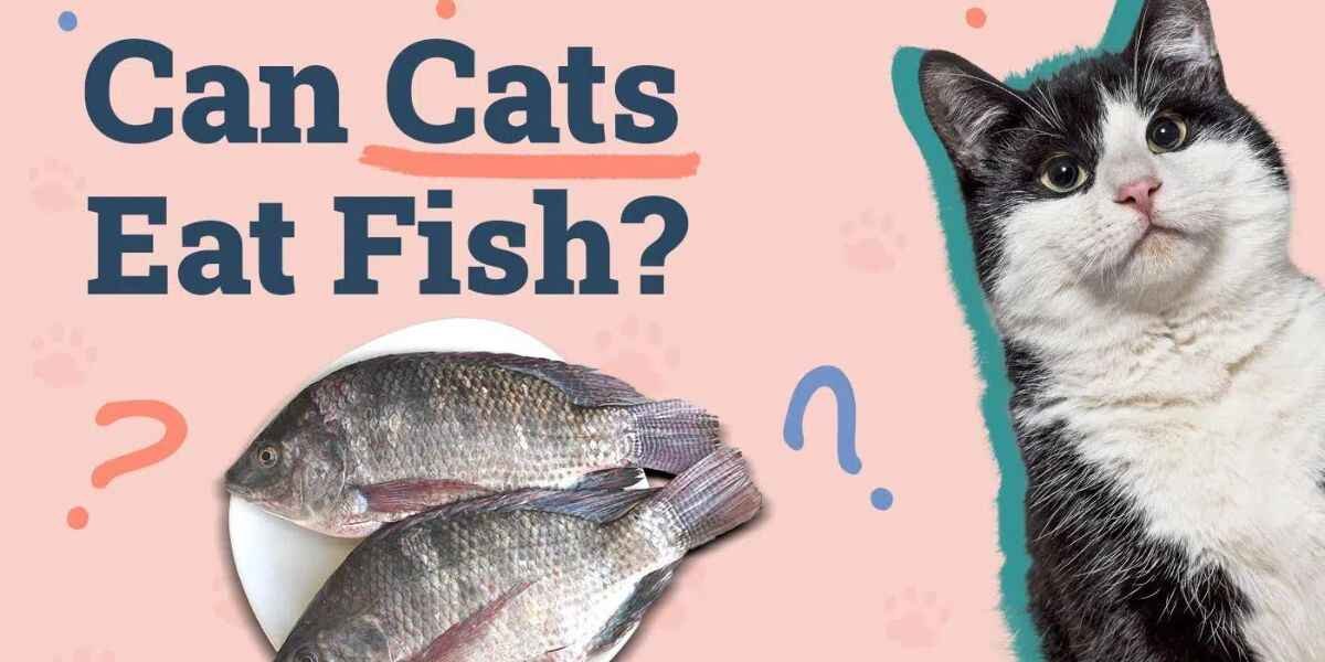 Can Cats Eat Fish?