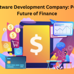 Fintech Software Development Company