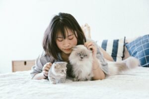 Woman lying on a bed with two fluffy cats, gently petting them, after eating raw cat food.