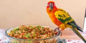 Pet parrot chop food