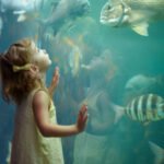 Kid-Friendly Activities at Dubai Aquarium