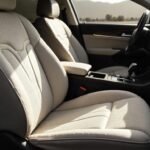 Car leather protection