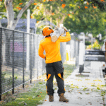 Why Do Tree Emergencies Often Happen Unexpectedly?